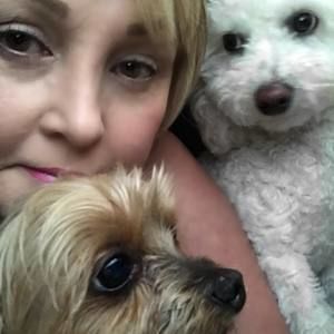 Meet your Posher, Ellen